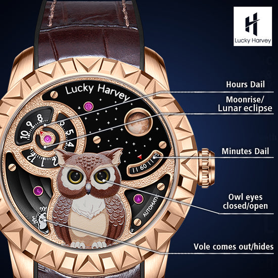 Silver Owl Automatic New Watch Luminous Dial Lucky Harvey TIMEMASTER